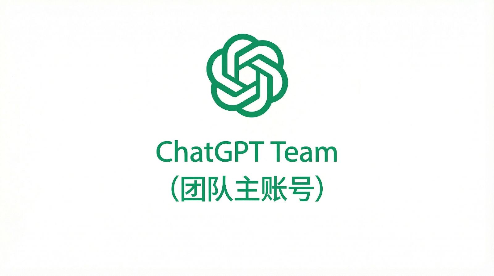 ChatGPT Team (母号)